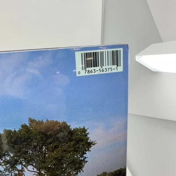 Gary Chapman - Side A & B Everyday Man Music - BMG Records Vinyl Record - Picture 6 of 6